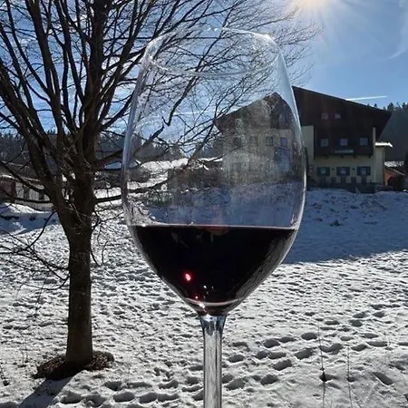 Διαμέρισμα Winterwohnung Almberg