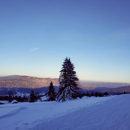 Appartamento Winterwohnung Almberg Mitterfirmiansreut