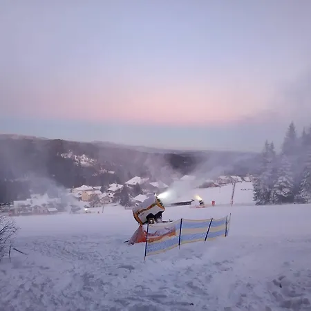 Lägenhet Winterwohnung Almberg Mitterfirmiansreut