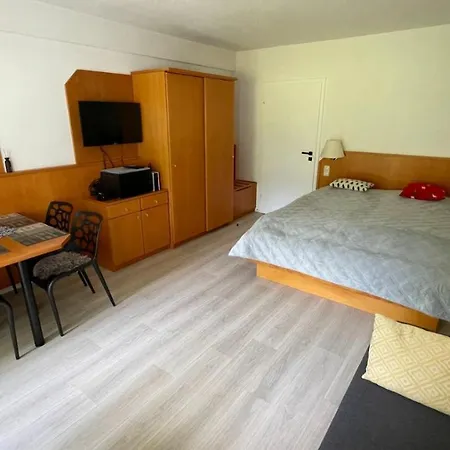 Winterwohnung Almberg *