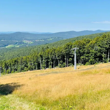 Winterwohnung Almberg * Mitterfirmiansreut