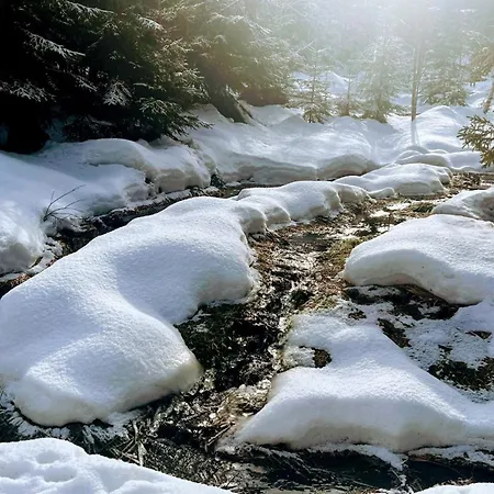 Lägenhet Winterwohnung Almberg Mitterfirmiansreut