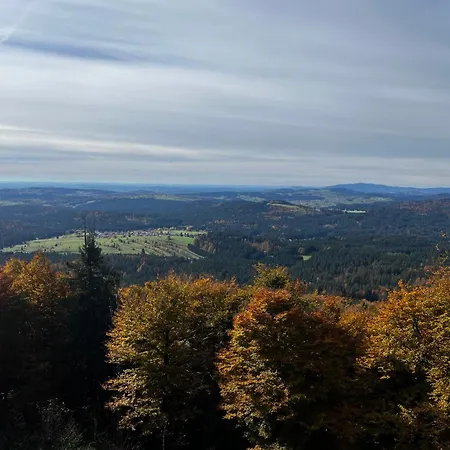 Apartamento Winterwohnung Almberg Mitterfirmiansreut