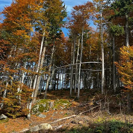 Winterwohnung Almberg