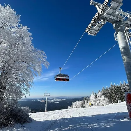 Апартаменты Winterwohnung Almberg