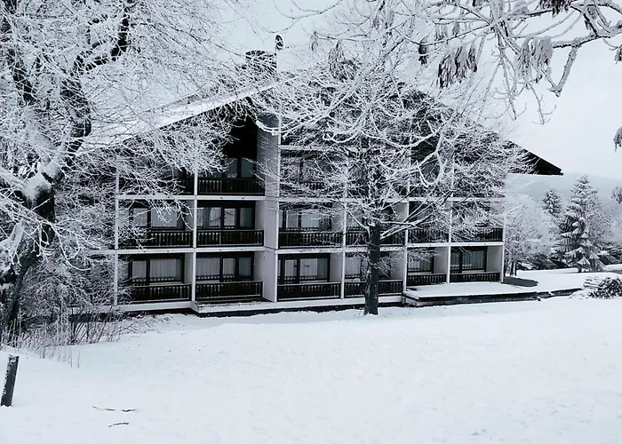 Winterwohnung Almberg