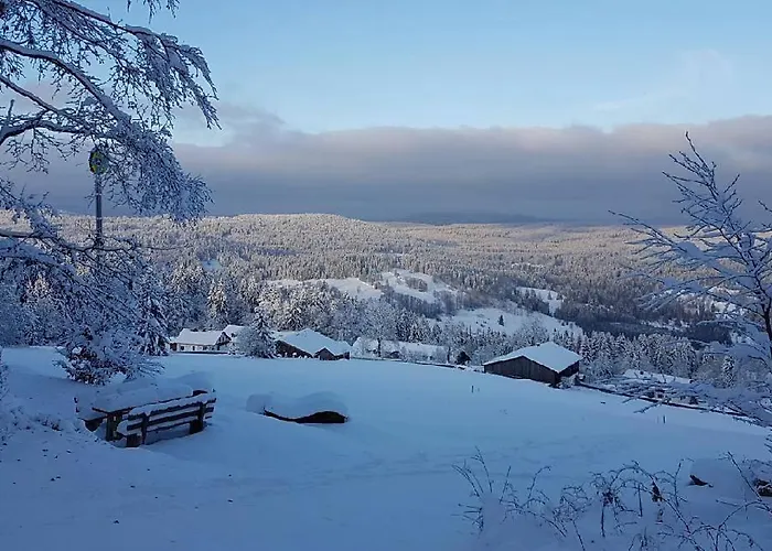 Winterwohnung Almberg Apartamento Mitterfirmiansreut