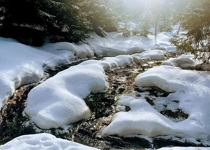 아파트 Winterwohnung Almberg 미테르피르미안스로이트