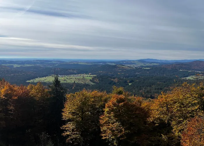 아파트 Winterwohnung Almberg 미테르피르미안스로이트