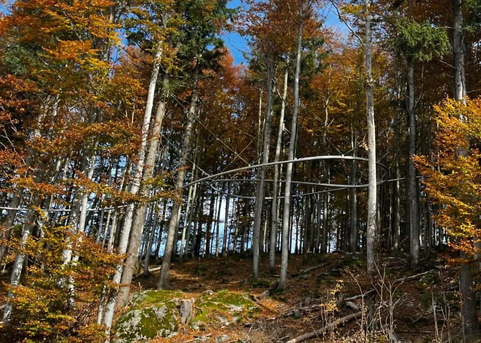 Winterwohnung Almberg