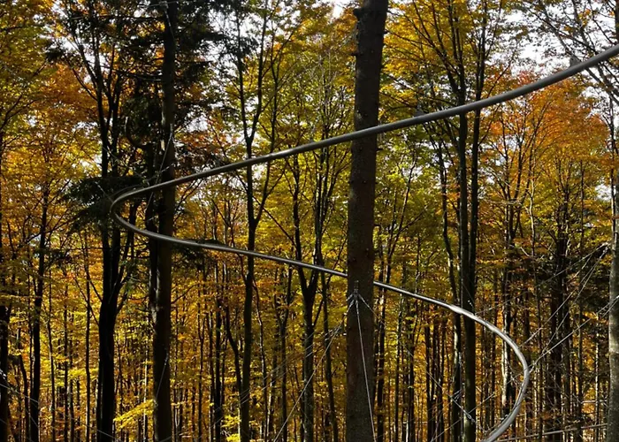 아파트 Winterwohnung Almberg *